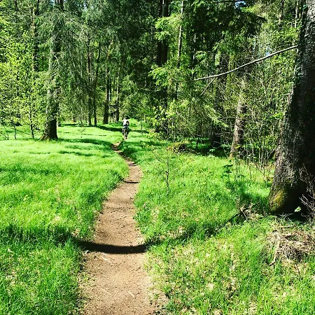 Hjem - Tiny Homes Direkt Am Wald Zwischen Allgaeu & Bodensee