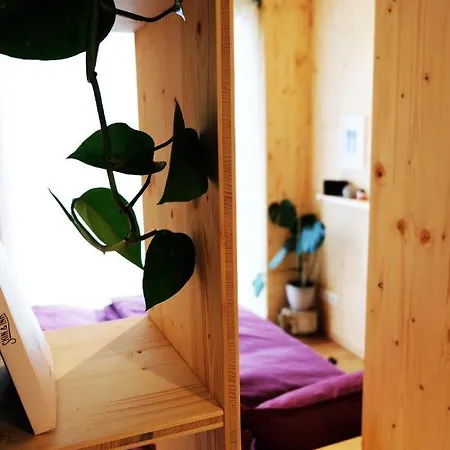 Hjem - Tiny Homes Direkt Am Wald Zwischen Allgaeu & Bodensee Prázdninový dům