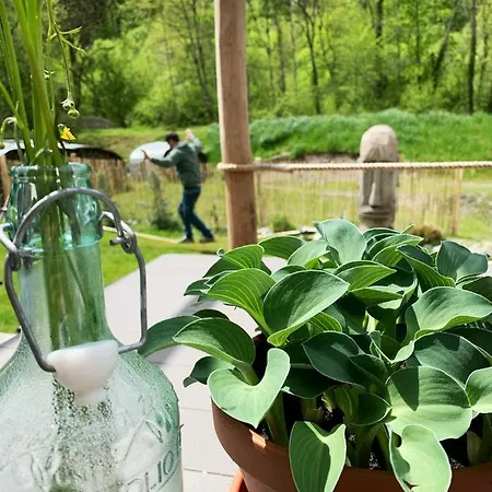 Hjem - Tiny Homes Direkt Am Wald Zwischen Allgaeu & Bodensee